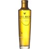 Brandy Ysabel brandy Regina 42% 0,7 l (holá láhev)