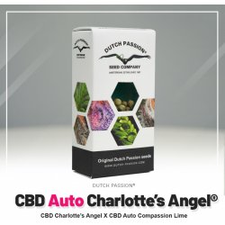 Dutch Passion CBD AUTO Charlotte's Angel semena neobsahují THC 1 ks