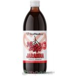 EkoMedica Jeřabina Ptačí štava 500 ml – Hledejceny.cz