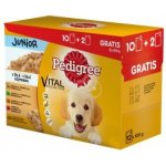 Pedigree Vital Protection 100% kompletní výživa v želé 12 x 100 g – Zboží Mobilmania