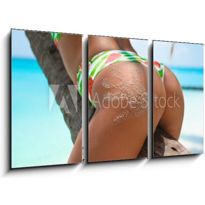 Obraz 3D třídílný - 90 x 50 cm - Outdoor Closeup of Fit buttocks. Fitness woman on a palm tree. Sexy Ass over exotic beach. Sporty concept. Summertime vacation. Venkovní – Zboží Mobilmania