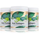 Golden Nature Hydrolyzovaný Rybí kolagen + Vitamin C jablko 150 g – Hledejceny.cz