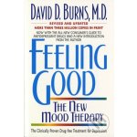 Feeling Good:: The New Mood Therapy Burns David D. Paperback – Zboží Dáma