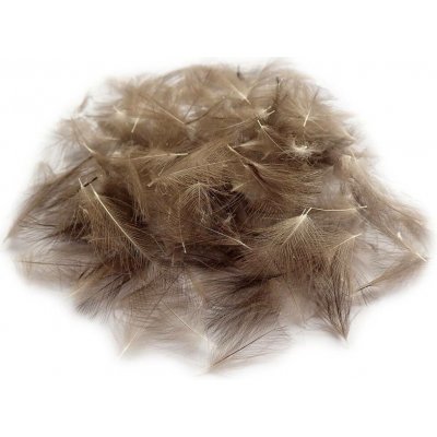 Czech Nymph CDC peří z divoké kachny Wild Duck CDC Bulk Pack 2 g přírodní – Hledejceny.cz