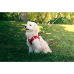 Zolux Postroj pes Síťový – Sleviste.cz