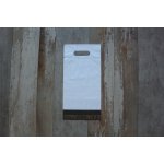 Plastová obálka s uchem 50my 200x350mm 10ks – Zboží Živě
