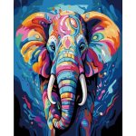 vytvarnehracky.cz Malování na černé plátno 40 x 50 cm slon – Zboží Dáma