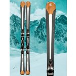 BOGNER Ski Vision TR 20/21 – Hledejceny.cz