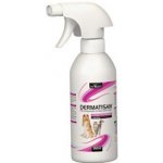 Dermatisan Moisturizing Lotion-Antipruritic 250 ml – Zboží Dáma