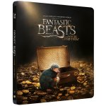 Fantastická zvířata a kde je najít 2D+3D BD Steelbook – Hledejceny.cz