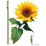 Ag Design AGF00476 samolepící dekorace Sunflower F 0476 Slunečnice rozměry 65 x 85 cm – Zboží Mobilmania