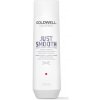Šampon Goldwell Dualsenses Just Smooth Taming Shampoo vyhlazující šampon na vlasy 250 ml