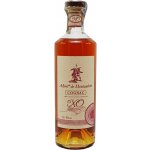 Albert de Montaubert Cognac XO Grande Champagne 12y 40% 0,7 l (holá láhev) – Sleviste.cz