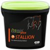 Krmivo a vitamíny pro koně Premin Plus Stallion 5 kg