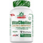 Amix GreenDay VitaCholine Choline L-bitartrate 120 vege kapslí – Hledejceny.cz