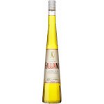 Galliano 30% 0,7 l (holá láhev) – Zboží Dáma