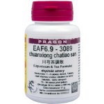 Sinecura EAF6.9-3089 chuanxiong chatiao san 60 tablet – Hledejceny.cz