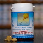 TCM Herbs Ukotvení horkovzdušného balónu 100 tablet – Hledejceny.cz
