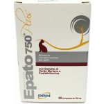 ICF Industria Chimica Fine Epato 750 30 tbl. – Hledejceny.cz