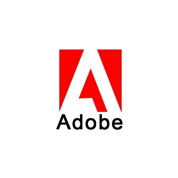  Adobe Acrobat DC 2017 Standard PL WIN GOV 65280402AF01A00