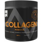 PULS nutrition Collagen orange 300 g – Hledejceny.cz
