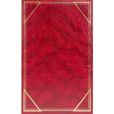 Fotoalbum 10x15 pro 300 fotek Vinyl vínový 3UP – Hledejceny.cz