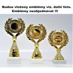 VIZINGR Orientační běh trofeje 109-L286 109-L286/30 cm – Zboží Dáma