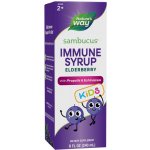 Nature's Way Sambucus Immune Syrup for Kids černý bez 240 ml – Hledejceny.cz