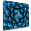 Obraz Impresi Obraz Modrý květ - 90 x 70 cm