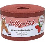 S.I.N. Hellas Lízátko pro koně Lolly Lick Imunita šípek 0,75 kg – Zboží Dáma