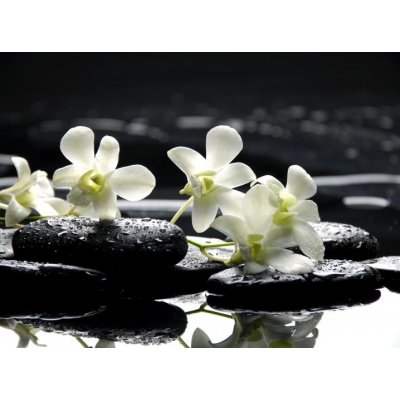 WEBLUX 31674577 Fototapeta vliesová Zen stones and white orchids with reflection Zenové kameny a bílé orchideje s odrazem rozměry 270 x 200 cm – Zboží Mobilmania