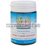 TCM Herbs Krůpěj z lesní studánky 100 tablet – Hledejceny.cz