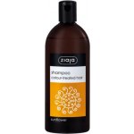 Ziaja Sunflower šampon s výtažkem ze slunečnice pro barvené vlasy 500 ml – Zboží Dáma