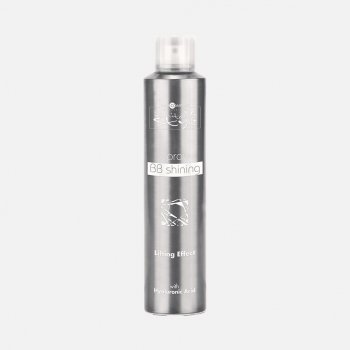 Hair Company BB Spray Shining spray 250 ml