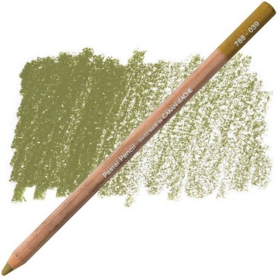 Caran D´Ache umělecký pastel v tužce suchý 788.039 olive brown – Zboží Dáma