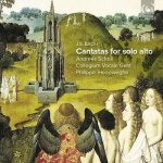 Johann Sebastian Bach - Cantatas For Solo Alto CD – Hledejceny.cz