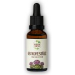 Natural Protein Tinktura Ostropestřec 30 ml – Hledejceny.cz