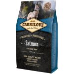 Carnilove Salmon for Adult 4 kg – Hledejceny.cz