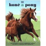 Caroline Stamps Koně a pony. Vše o koních, jejich plemenech, chovu, výcviku a vybavení pro jezdectví – Hledejceny.cz