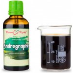 Bylinné kapky Andrographis tinktura 50 ml – Zboží Dáma