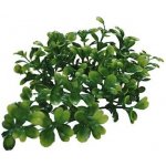 Lucky Reptile Turtle Plants Horn Fern 40 cm FP-64542 – Hledejceny.cz