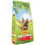 Purina Friskies Active 3 kg – Hledejceny.cz