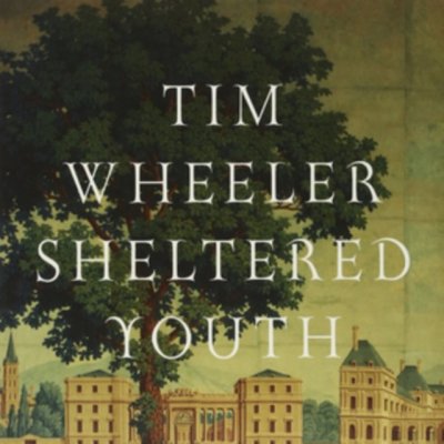 Sheltered Youth EP - Tim Wheeler LP – Hledejceny.cz