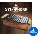 Soundiron Alto Xylophone Digitální produkt – Zboží Živě