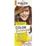 Pallete Color Shampoo Oříškově plavá 317 – Zbozi.Blesk.cz