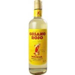 Mescal TEQUILA GUSANO ROJO 38% 0,7 l (holá láhev) – Zboží Dáma