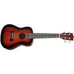 Tanglewood TWT 3 – Zbozi.Blesk.cz