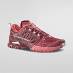 La Sportiva Bushido III GTX Women Barva: Redwood/Rosebay – Zbozi.Blesk.cz