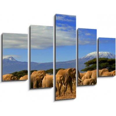 Obraz pětidílný 5D - 150 x 100 cm - Kilimanjaro And Elephants Kilimanjaro a sloni – Zbozi.Blesk.cz