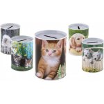 Teddies Pokladnička zvířata plechová 7,5x10cm 5 druhů – Zboží Mobilmania